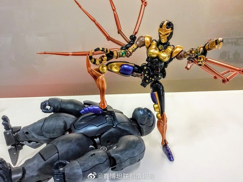 New In Hand Images Masterpiece MP 46 Blackarachnia  (2 of 5)